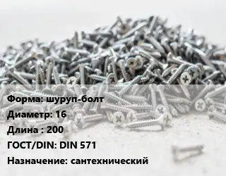 Шуруп шуруп-болт 16х200 ГОСТ: DIN 571 сантехнический